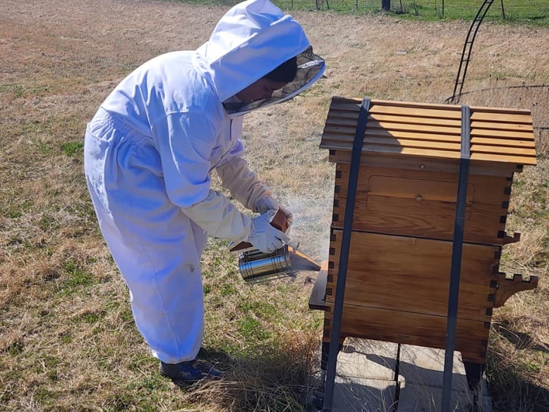 our little beekeeper